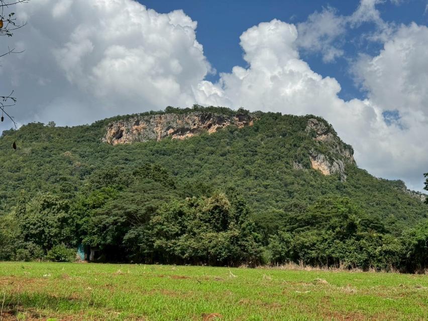 ขาย ที่ดินเปล่า เขาใหญ่ ถ.ธนะรัชต์ เหมาะสร้าง รีสอร์ท โรงแรม คอนโด สถานที่ท่องเที่ยว  32-1-96 ไร่ 2