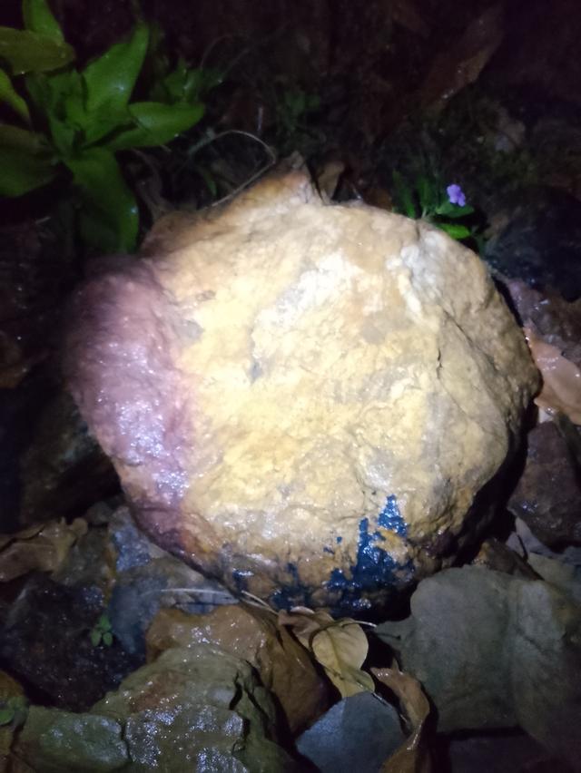 หินแร่ทองคำ หินควอตซ์ หินทองคำดิบ รูปที่ 10