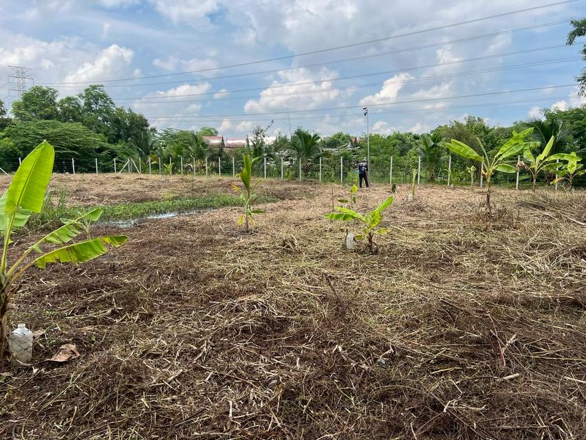 ขายที่ดินเปล่า 396 ตรว แขวงทรายกองดิน น 8