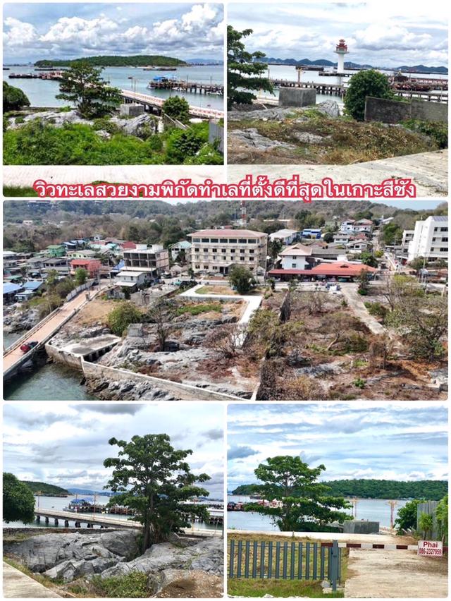 ขาย ที่ดินติดทะเล ใจกลางชุมชนหน้าเกาะสีชัง อ.เกาะสีชัง จ.ชลบุรี 5