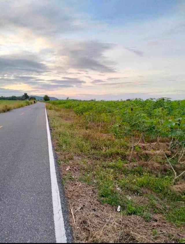 ขายที่ดิน 89 ไร่ ไร่ละ 170,000 2