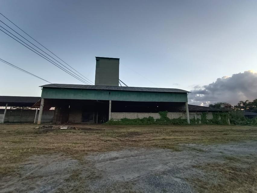 บ้านและที่ดินวิวหลักร้าน 13