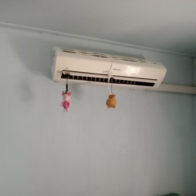 ขายสวนมะม่วงพร้อมบ้านราคา2400000บาท 11