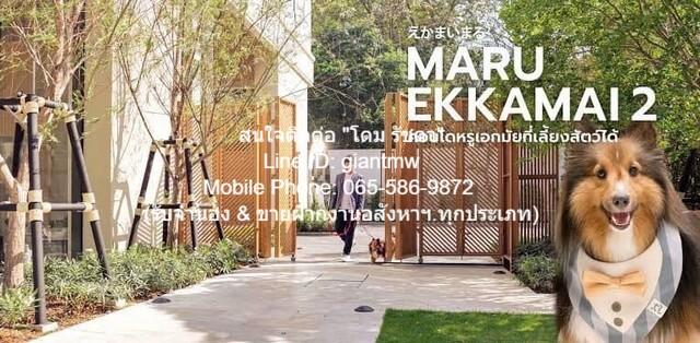 condo. Maru EKKAMAI 2 60000 บาท. ใกล้ BTS เอกมัย โอกาสเดียวห้ามพลาด 1