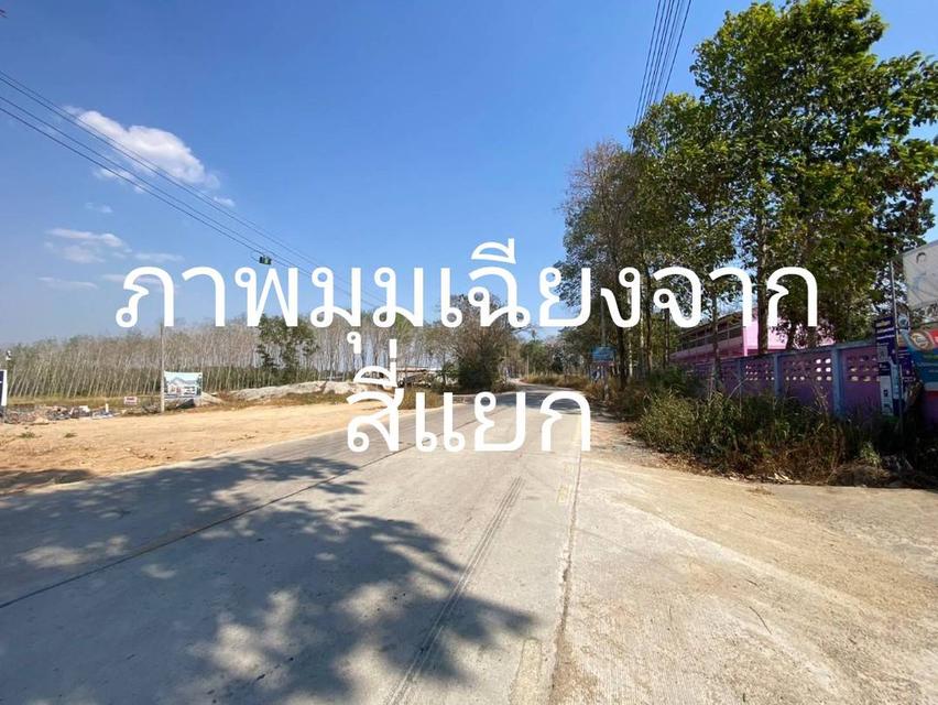 ขายที่ดินเปล่า 5