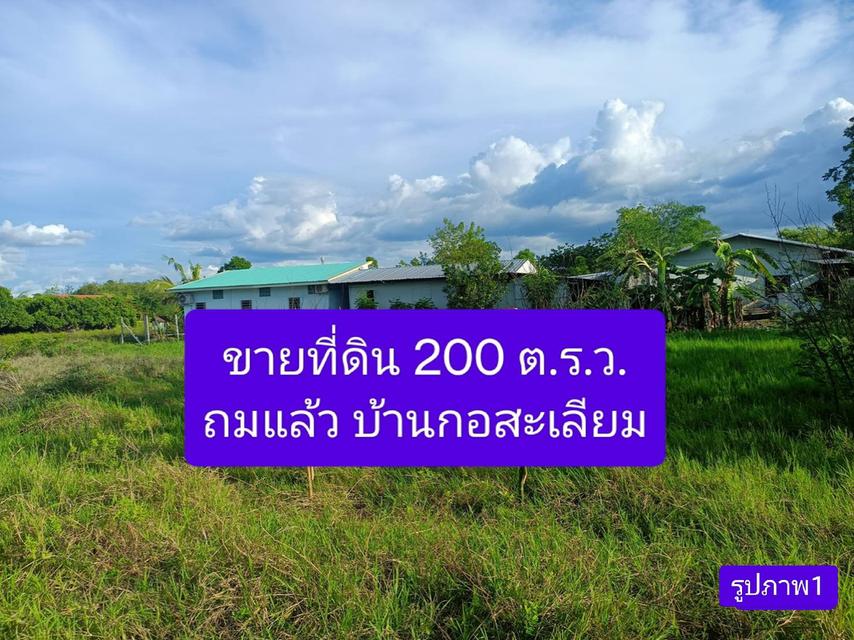 ขายที่ดิน 200 ตารางวา (ถมที่ดินแล้ว) 1