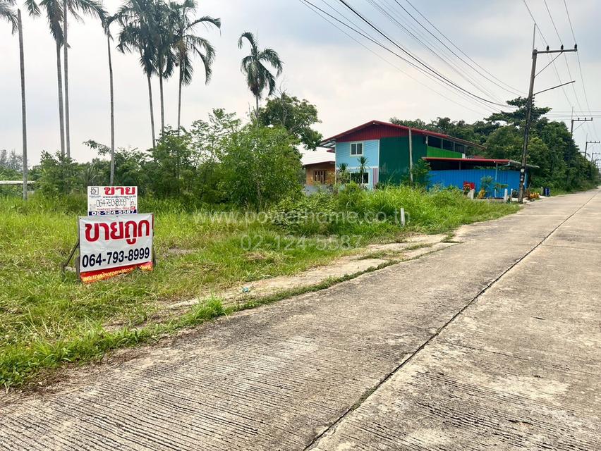ที่ดินเปล่าถมแล้ว ซอยไอยรา ใกล้สํานักงานเทศบาลเมืองสนั่นรักษ์ ถนนรังสิต – นครนายก ต.หนองสามวัง อ.หนองเสือ จ.ปทุมธานี 1