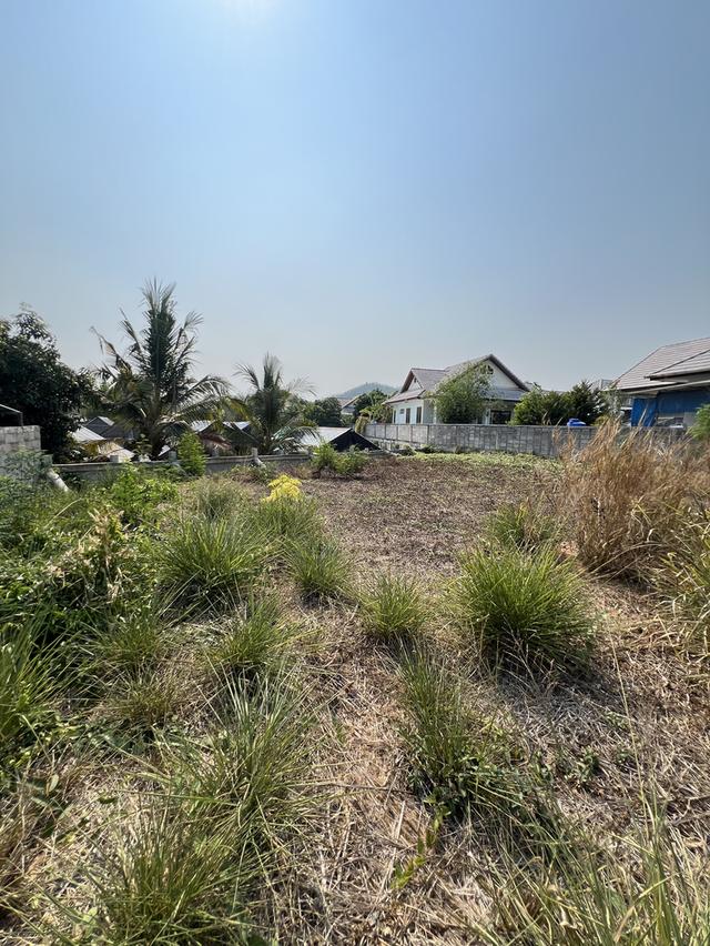 ที่ดินสวย ทำเลดี ติดถนนลาดยาง ราชบุรี 6