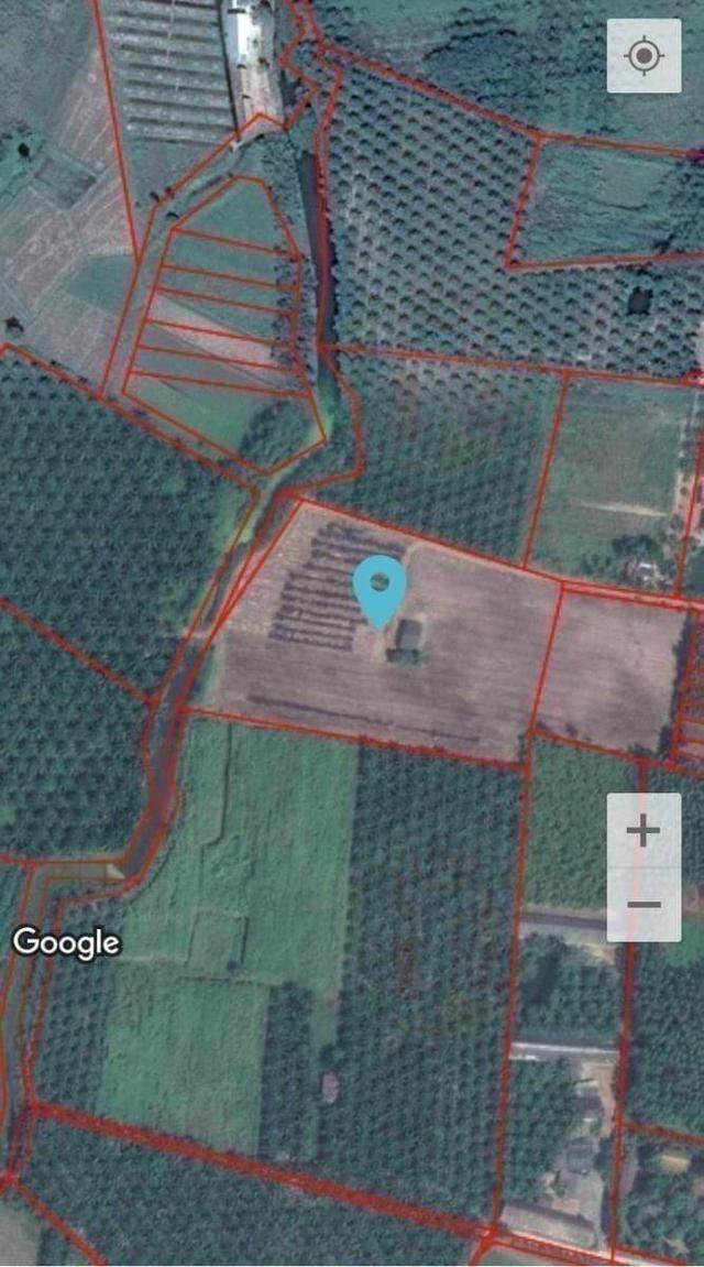 ขายที่ดินบ่อทองชลบุรี 15 ไร่ 3 งาน 73 ตรว 1