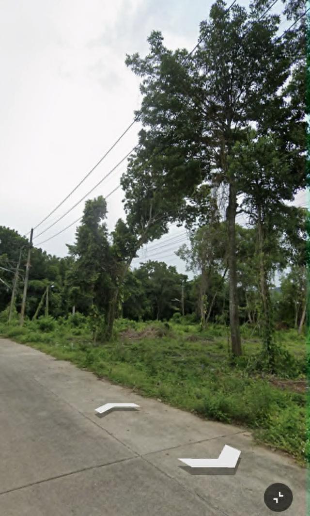 ที่ดินแบ่งขาย 17ไร่ หาดใหญ่ 2