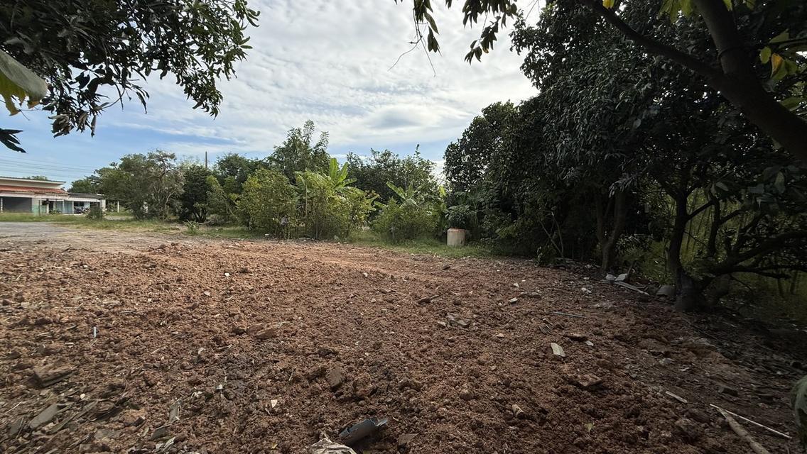 ขายที่ดินเปล่า 1 ไร่ ต.บ้านลำ อ.วิหารแดง สระบุรี หลัง รพ.วิหารแดง น้ำประปา ไฟฟ้าพร้อม บรรยากาศดี เหมาะสำหรับการพักอาศัย Tel 0818413784 7