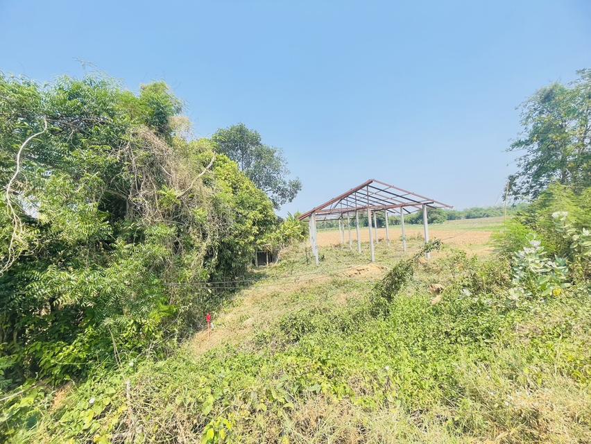 ขายถูกที่สุด ที่ดิน108ตรว.พร้อมโครงสร้างเสา15ต้น 13