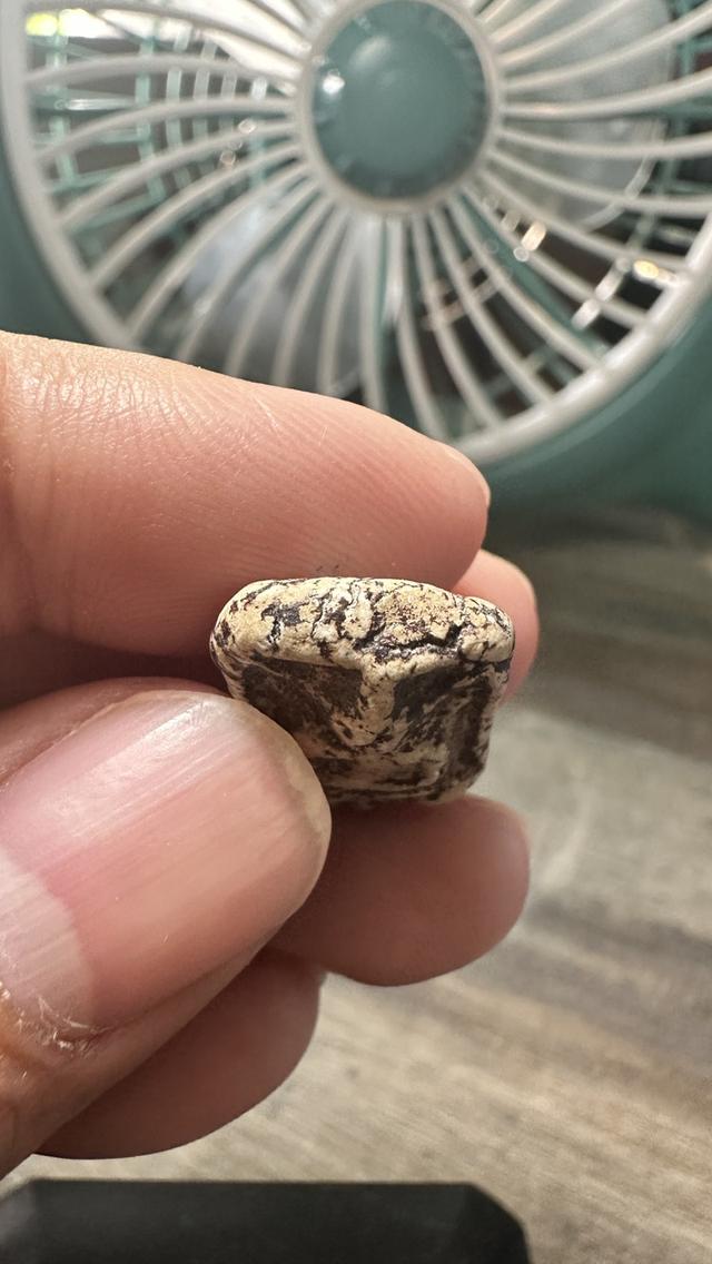 ขุดสระเล็ก วัดกิ่งแก้ว สมุทรปราการ รูปที่ 6