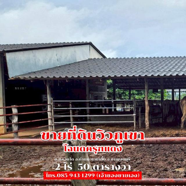ขายที่ดิน 2 ไร่ 50 ตารางวา ติดถนนลาดยาง วิวภูเขา จ.กาญจนบุรี 1,500,000 7