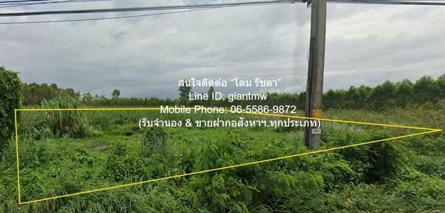 DSL-886 ขาย ที่ดิน ขายที่ดินเปล่า ติดถนนสุวรรณศร กบินทร์บุรี จ.ปราจีนบุรี 10 ไร่ ราคา 24 ล้านบาท (2.4 ล้านบาท/ไร่) 24000 7