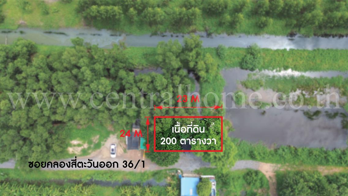 ที่ดินเปล่า ซอยคลองสี่่ตะวันออก 36/1 ปทุมธานี 3