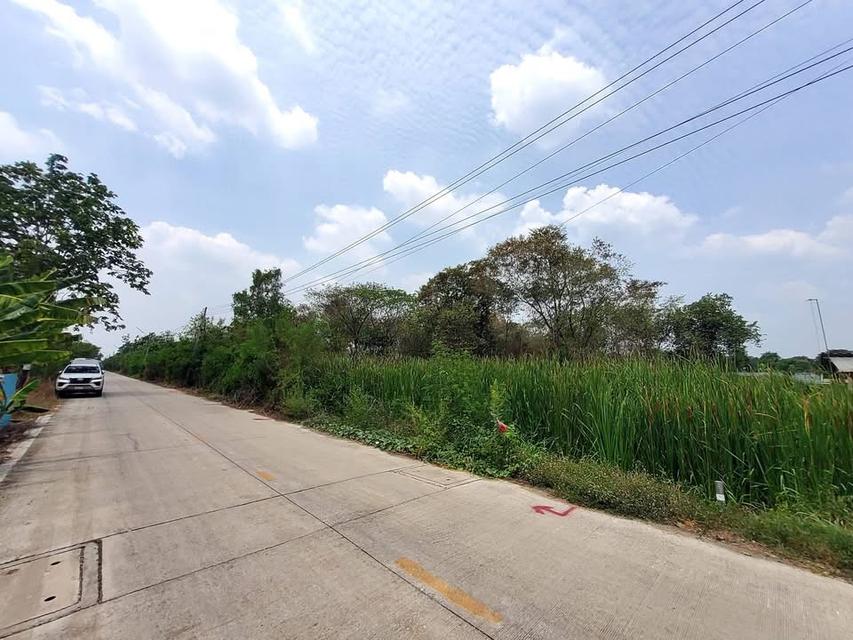 ขายถูกที่ดินคลองหก 2 ไร่ 2 งาน ติดถนนคอนกรีตสาธารณะ ซอย คลองหก ตต.31 อ.คลองหลวง จ.ปทุมธานี 1