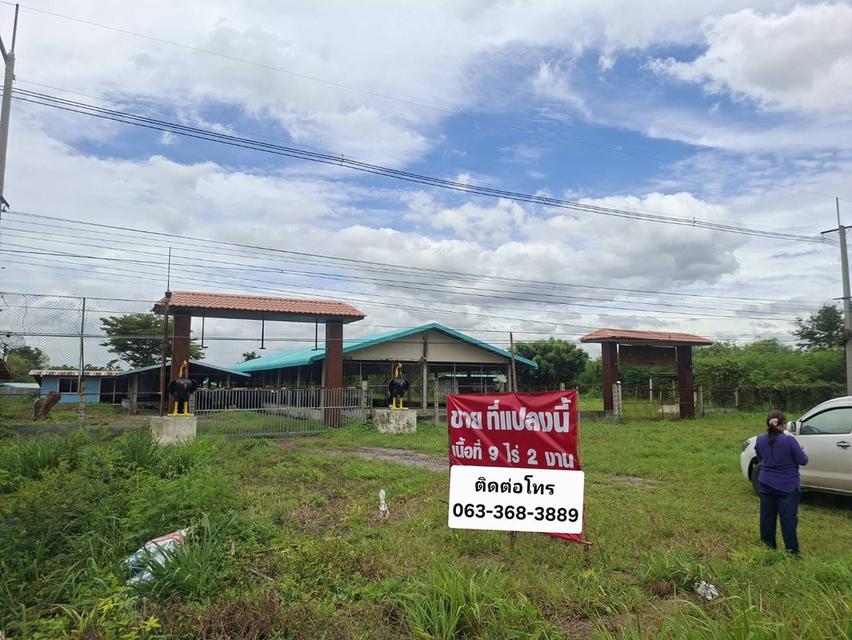 ขายที่ดินแปลงใหญ่ ติดถนน 4เลน สระบุรี-เพชรบูรณ์ 5