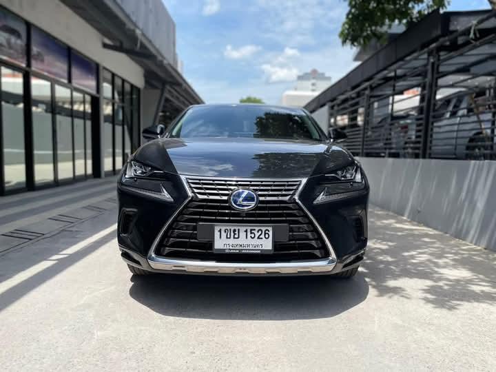 ขาย Lexus NX 300h