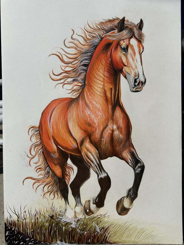 รูปวาดม้า ขนาด A3 สีไม้