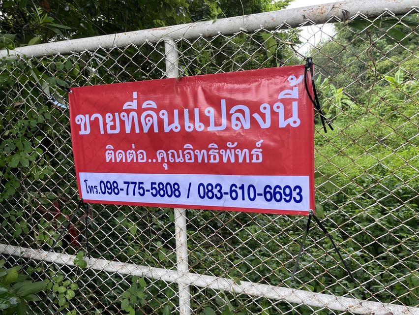 ขายที่ดิน 23 ไร่ ติดถนนเลียบคลองระพีพัฒน์ หนองเสือ ปทุมธานี 098 7755 808 3