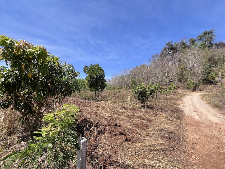 ขายที่ดิน วิวภูเขา⛰️📍จำนวน4ไร่  = 2แปลงติดกัน*แปลงที่1 (2ไร่)*แปลงที่2 (2ไร่)📍ราคาไร่ละ350,000 บาทเอกสาร  นส4จฟรีโอนกรรมสิทธ์ บรรยากาศดี วิวสวย สงบ 3