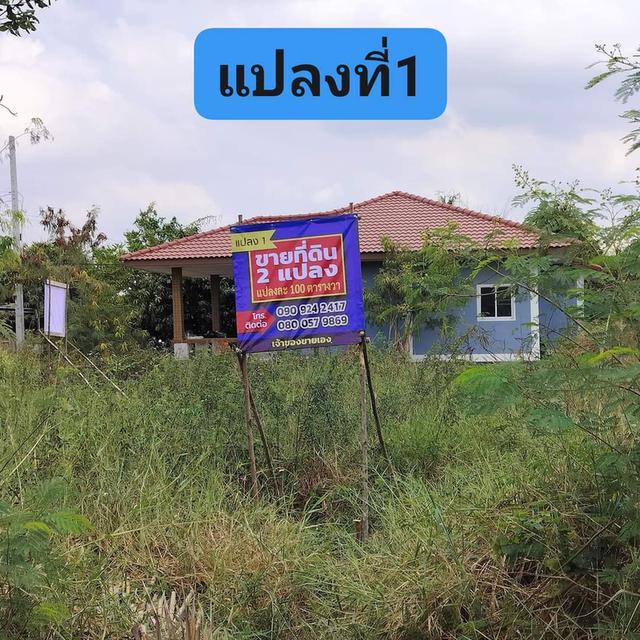 ที่ดินเปล่า 1