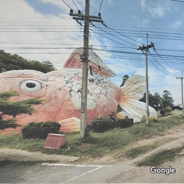 ที่ดินเปล่า ต.สวนกล้วย อ.บ้านโป่ง จ.ราชบุรี 154 ไร่กว่า 12