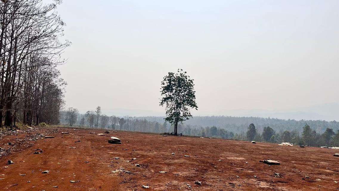 ที่ดินเชียงใหม่แม่แตง 1