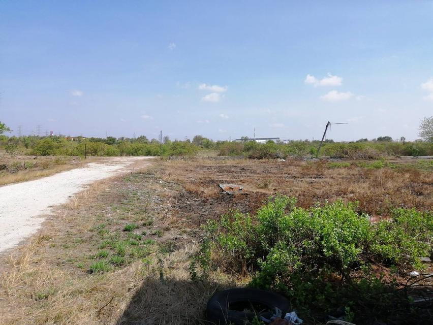 ขายที่ดิน 10ไร่ ใกล้ด่านมอเตอร์เวย์ บางปะกง 2