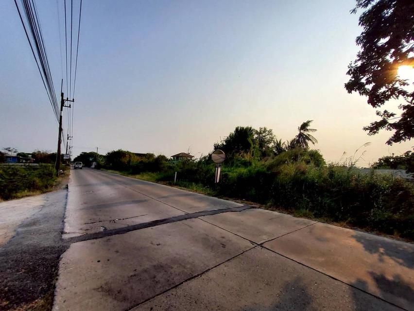ขายด่วนที่ดิน 267 ตรว ติดถนนคอนกรีตสาธารณะ ซ.ดาวทอง 2 ศาลายา พุทธมณฑล นครปฐม 5