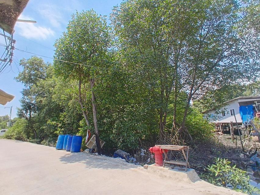 ขายที่ดิน 4 ไร่ 29 ตารางวา ซอยเทศบาลคลองด่าน 8/5 ตำบลคลองด่าน อำเภอบางบ่อ จังหวัดสมุทรปราการ 7