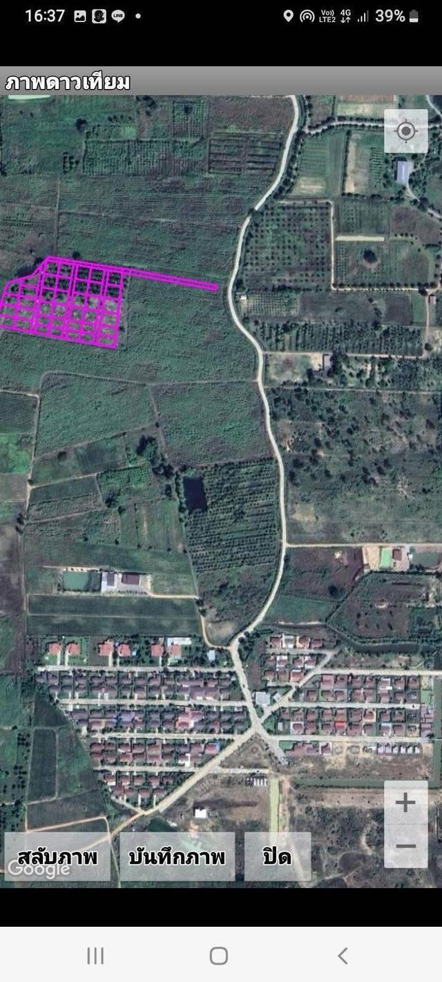 ขายที่ดินยกแปลง 11 ไร่ 3