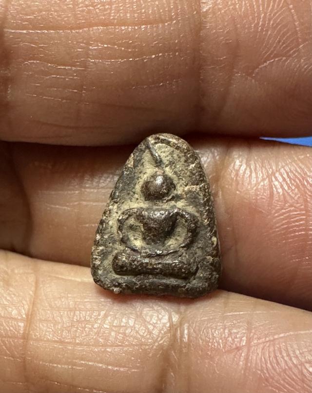 พระพิจิตร เม็ดข้าวเม่า 7