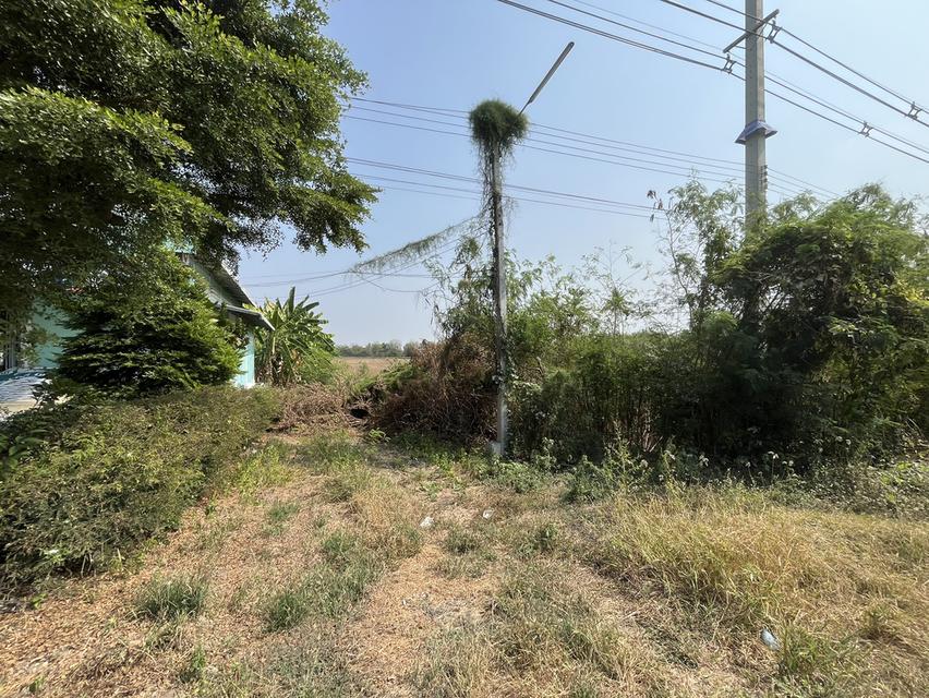 ✨ขายที่นา ทำเลทอง 10 ไร่ ติดถนนใหญ่ + คลองชลประทาน – ต.ย่านยาว อ.สามชุก จ.สุพรรณบุรี✨ 10