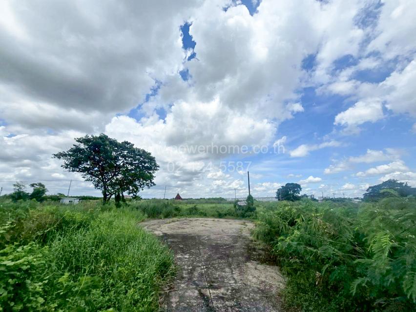 ที่ดิน ในโครงการหมู่บ้าน เค.ซี.การ์เด้นโฮม ซอยนิมิตรใหม่ 40 แยก 40 ใกล้โรงเรียนศศิภา ถนนนิมิตใหม่ แขวงสามวาตะวันตก  เขตคลองสามวา กรุงเทพมหานคร  2