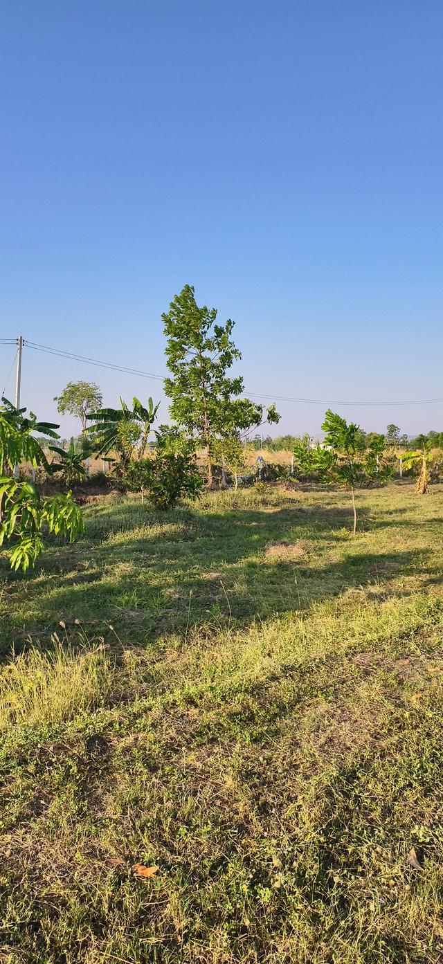 ที่ดินสวน เลาขวัญ กาญจนบุรี 11