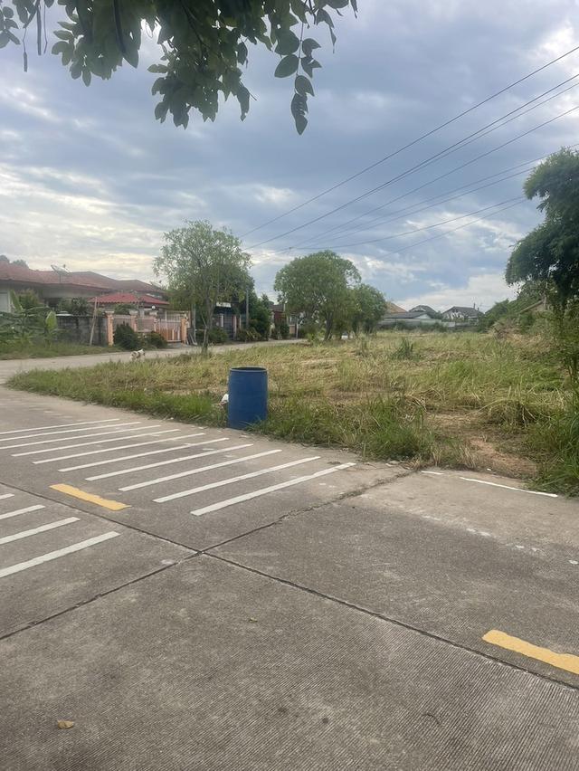 ขายที่ดินเปล่า อ.สัตหีบ ชลบุรี 14