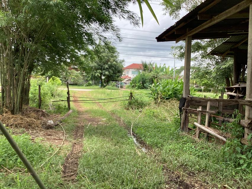 ขายที่ดิน5ไร่รูปแปลงสวยทำเลทองติดถนนหลัก 7