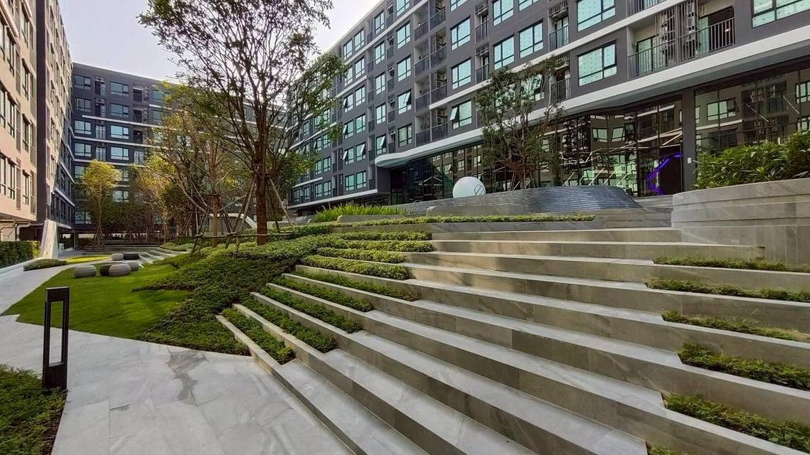 โครงการ : ดิ ออริจิ้น สุขุมวิท 105 | The Origin Sukhumvit 105 8