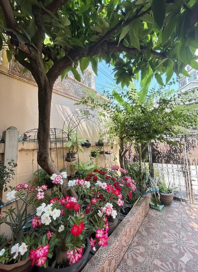 บ้าน ทาวน์เฮ้าส์ มือสอง 10