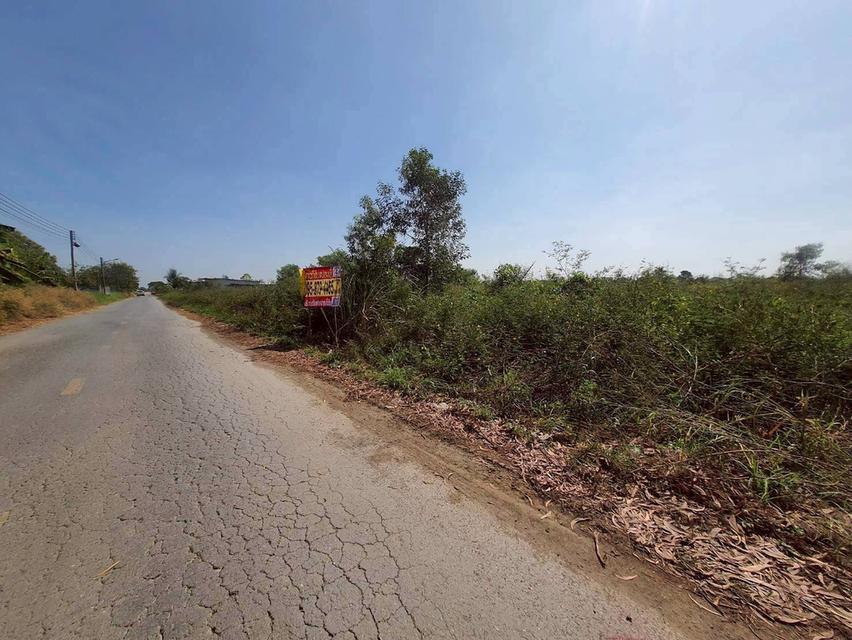 🔊Vายถูก‼️ที่ดิน 100 ตารางวา💢ติดถนนลาดยางสาธารณะ 📌 คลองสี่ ตะวันออก70 อ.คลองหลวง จ.ปทุมธานี 7