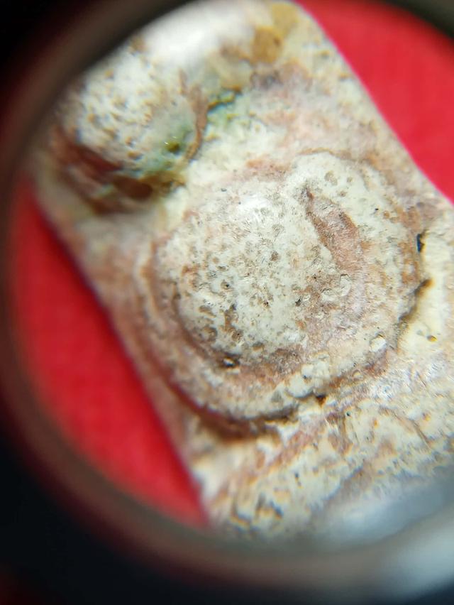 พระสมเด็จวัดพลับเก่าๆเนื้อเน่าจัดจ้าน 6