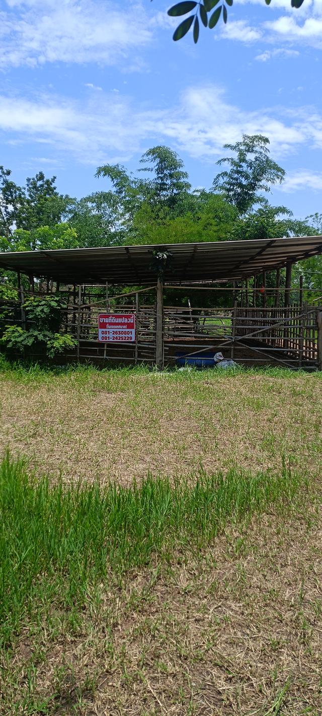 ที่ดินเมาะกับการลงทุน 7