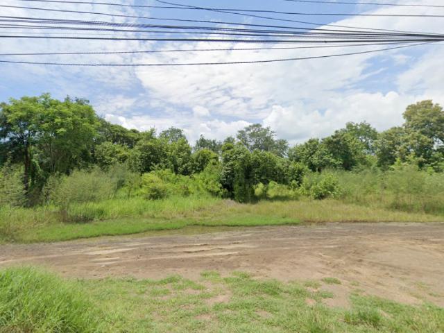 ขายที่ดิน 10 ไร่ 1 งาน 8.3 ตารางวา ตำบลลำนารายณ์ อำเภอชัยบาดาล จังหวัดลพบุรี 2