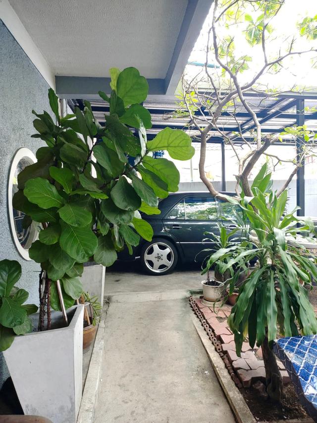 บ้านเดี่ยวหมู่บ้านปรีชา 2 นวมินทร์ 65 3