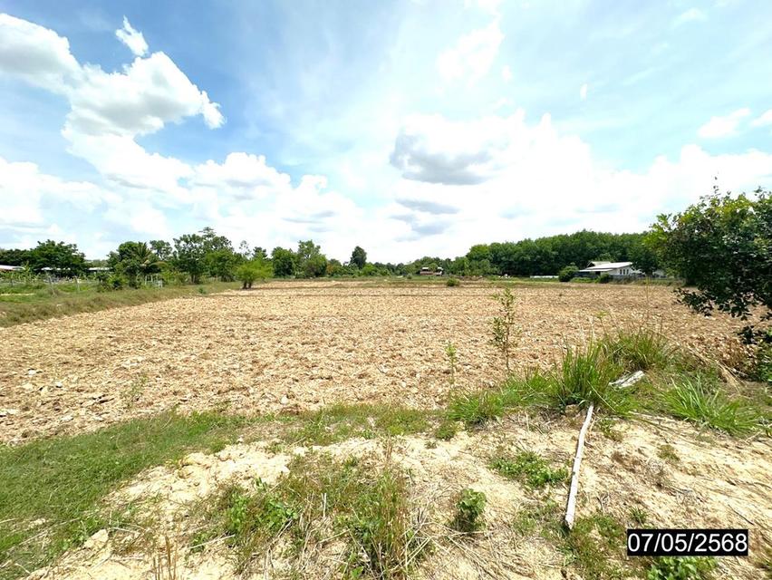 ที่ดินร้อยเอ็ด 8 ไร่กว่า ผืนใหญ่ ทำเลดี ติดถนนสายหลัก 7