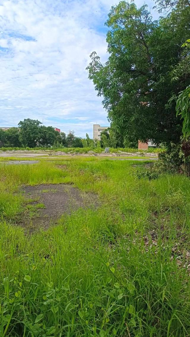 ขายที่ดิน ตำบลหมื่นไวยอำเภอเมืองนครราชสีมา ติดถนนมิตรภาพใกล้เซ็นทรัล 4