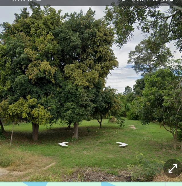 Land for sale in Uthai Thani Province. 4