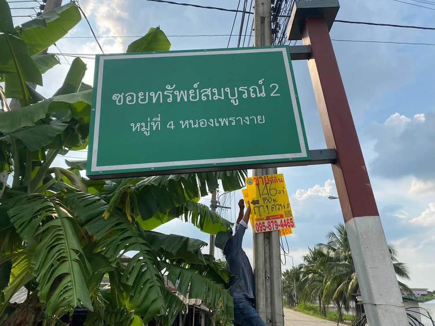 ขายถูกที่ดินหนองเพรางาย 146 ตารางวา ถมแล้ว+ติดถนนคอนกรีตสาธารณะ อ.ไทรน้อย 2
